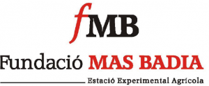 Fundació MAS BADIA